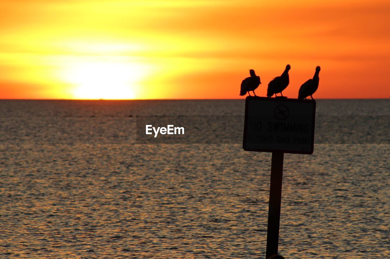 WARNING SIGN ON BEACH AGAINST ORANGE SKY