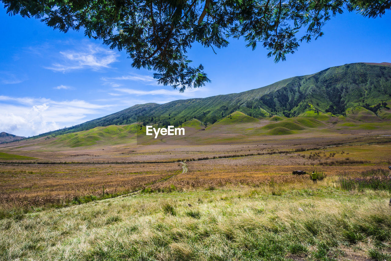 Scenic view of field and mountains against sky