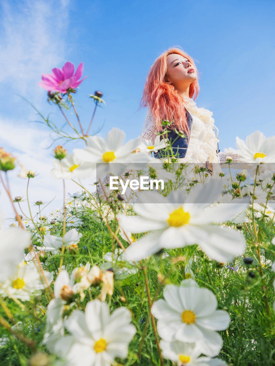 low angle view of young woman standing amidst flowers blooming on field