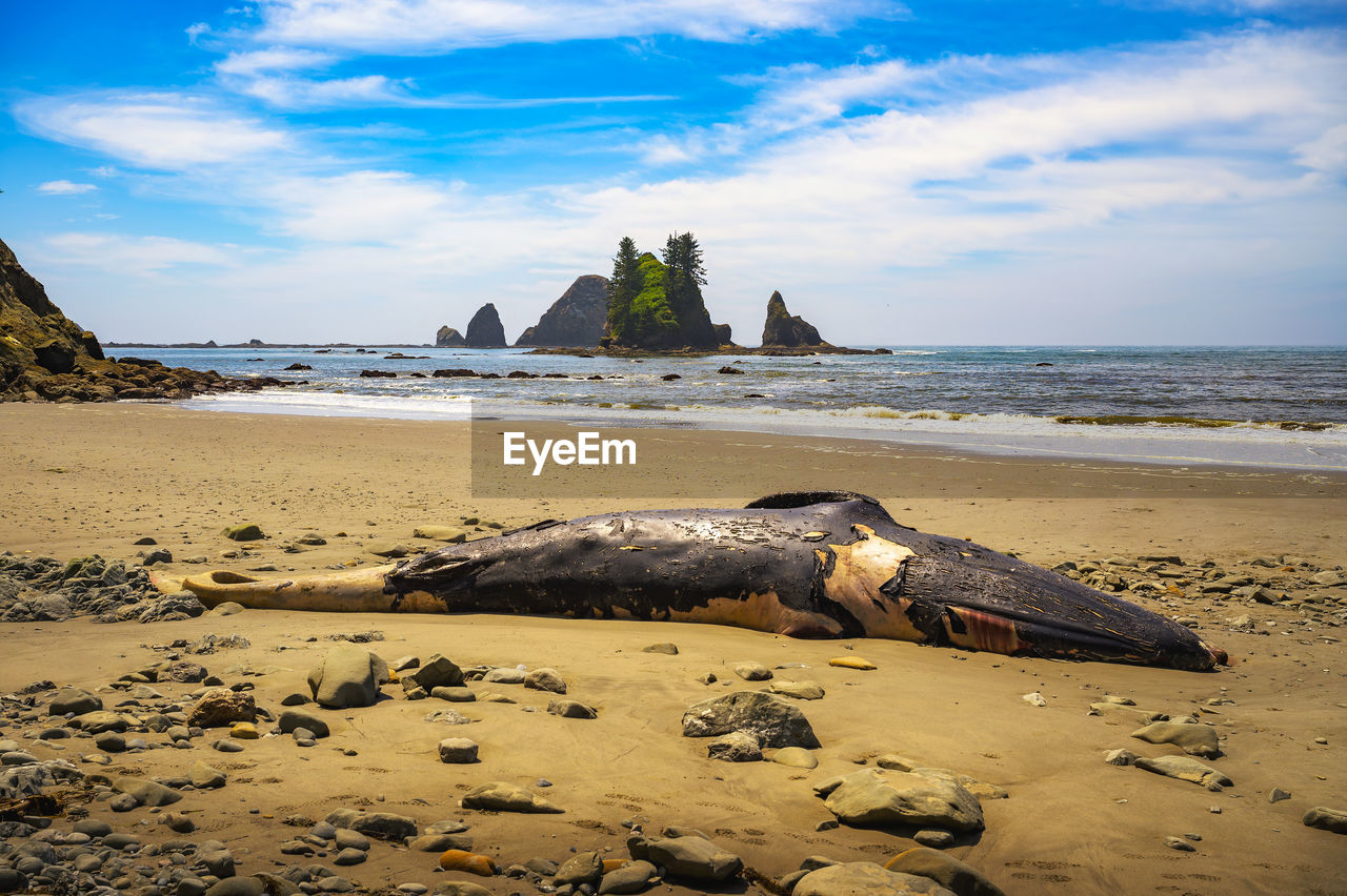 panoramic view of beach against sky