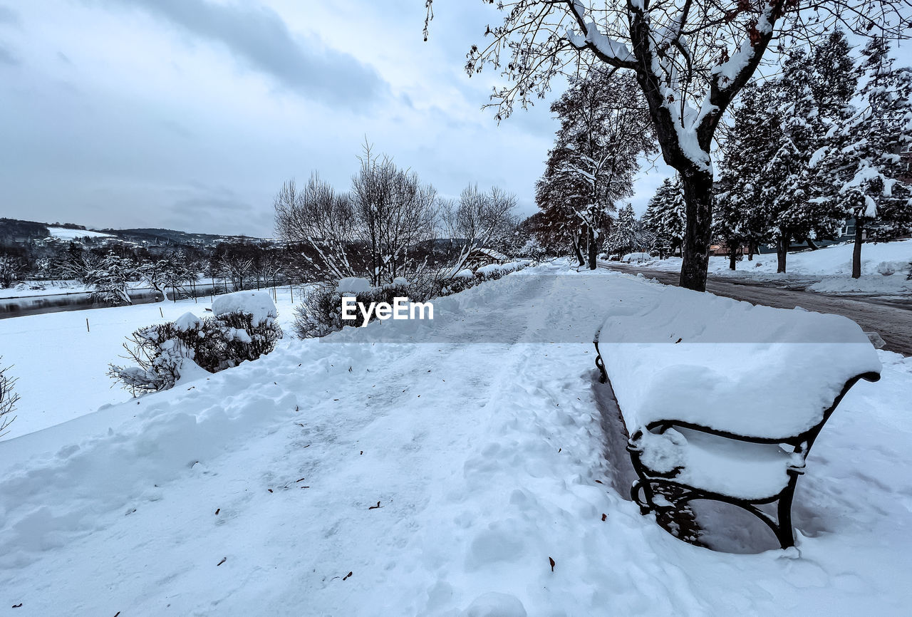 snow, cold temperature, winter, tree, nature, environment, plant, landscape, scenics - nature, beauty in nature, sky, freezing, white, tranquility, tranquil scene, no people, land, cloud, frozen, non-urban scene, outdoors, day, travel, rural scene, travel destinations, pinaceae, storm, forest, deep snow, coniferous tree, mountain, branch