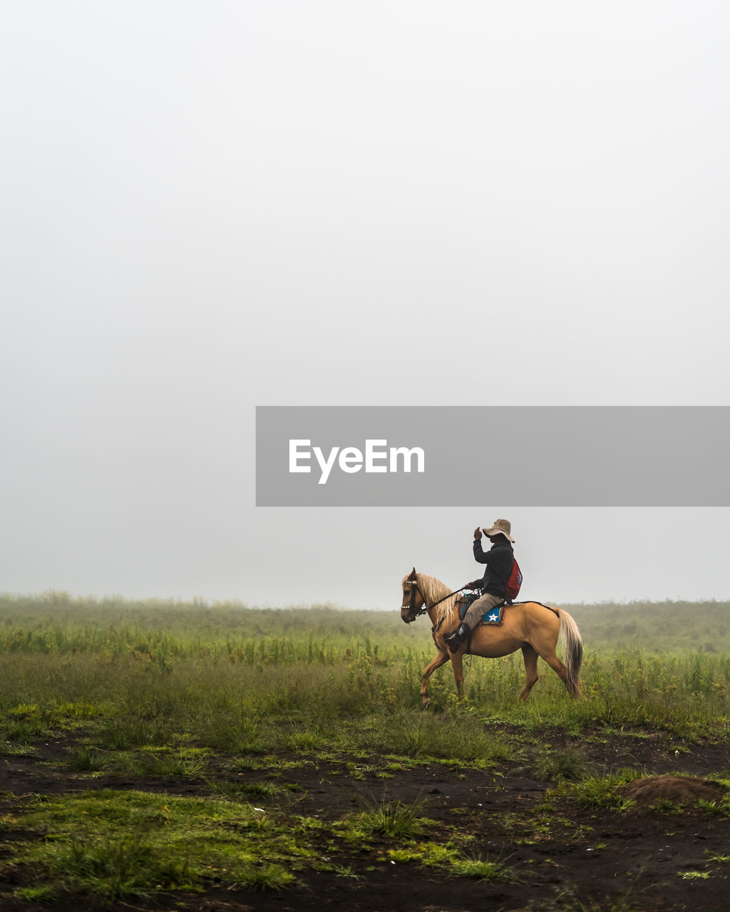 Man riding horse on land