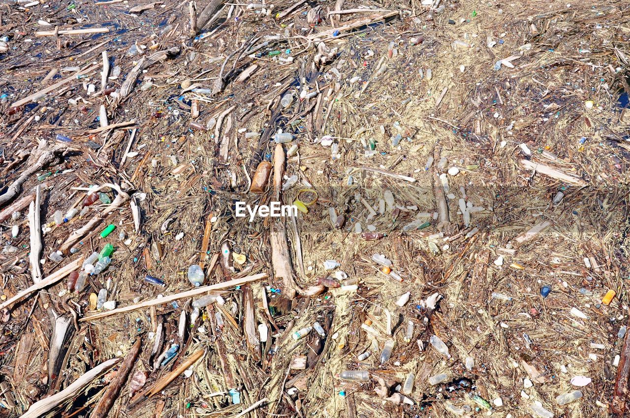 HIGH ANGLE VIEW OF CRACKED FIELD