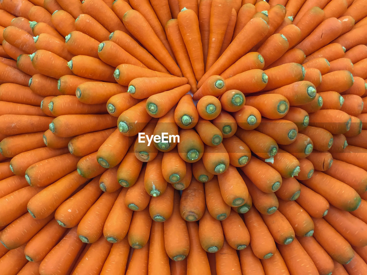 Close up many fresh carrots in the market