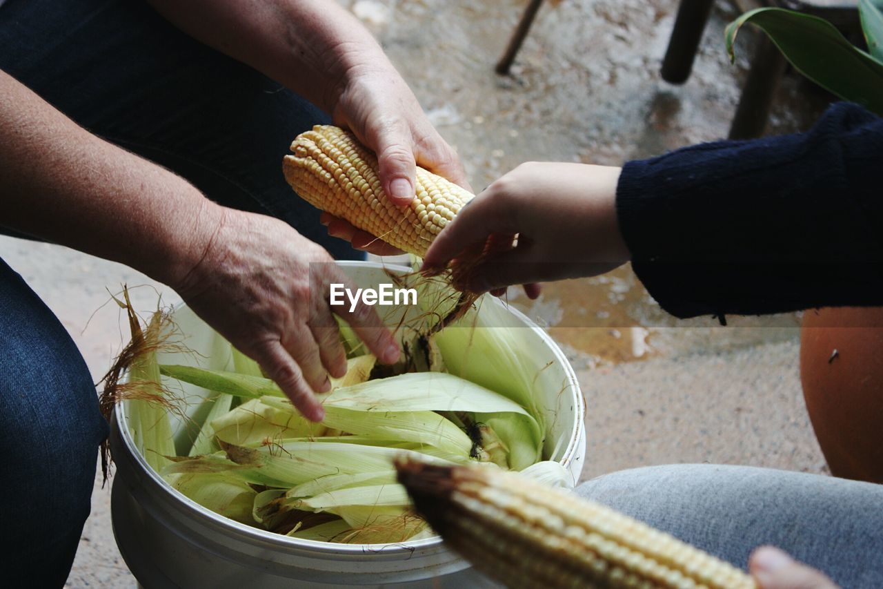 High angle view of people peeling corn