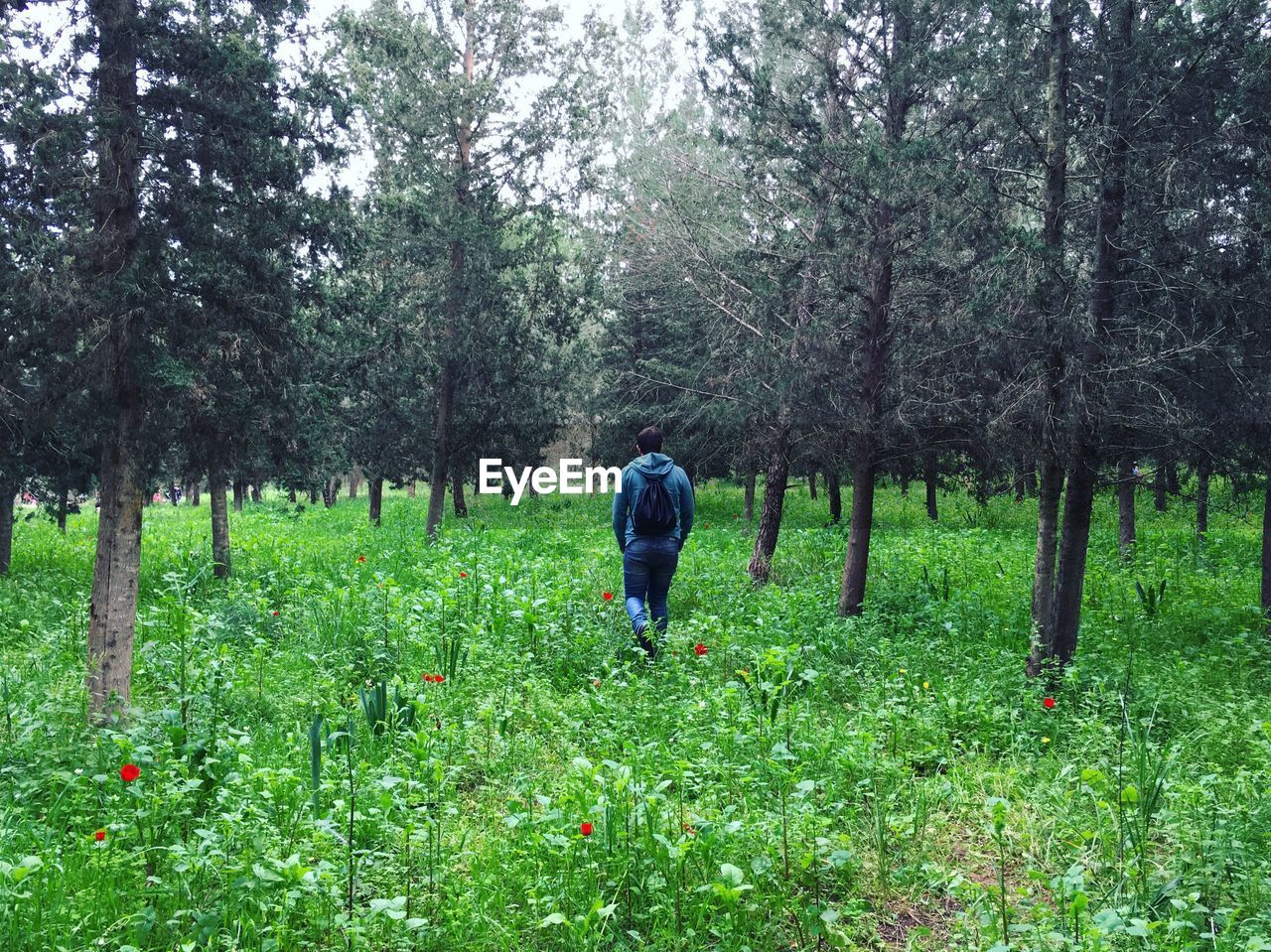 Rear view of man standing on grassy field