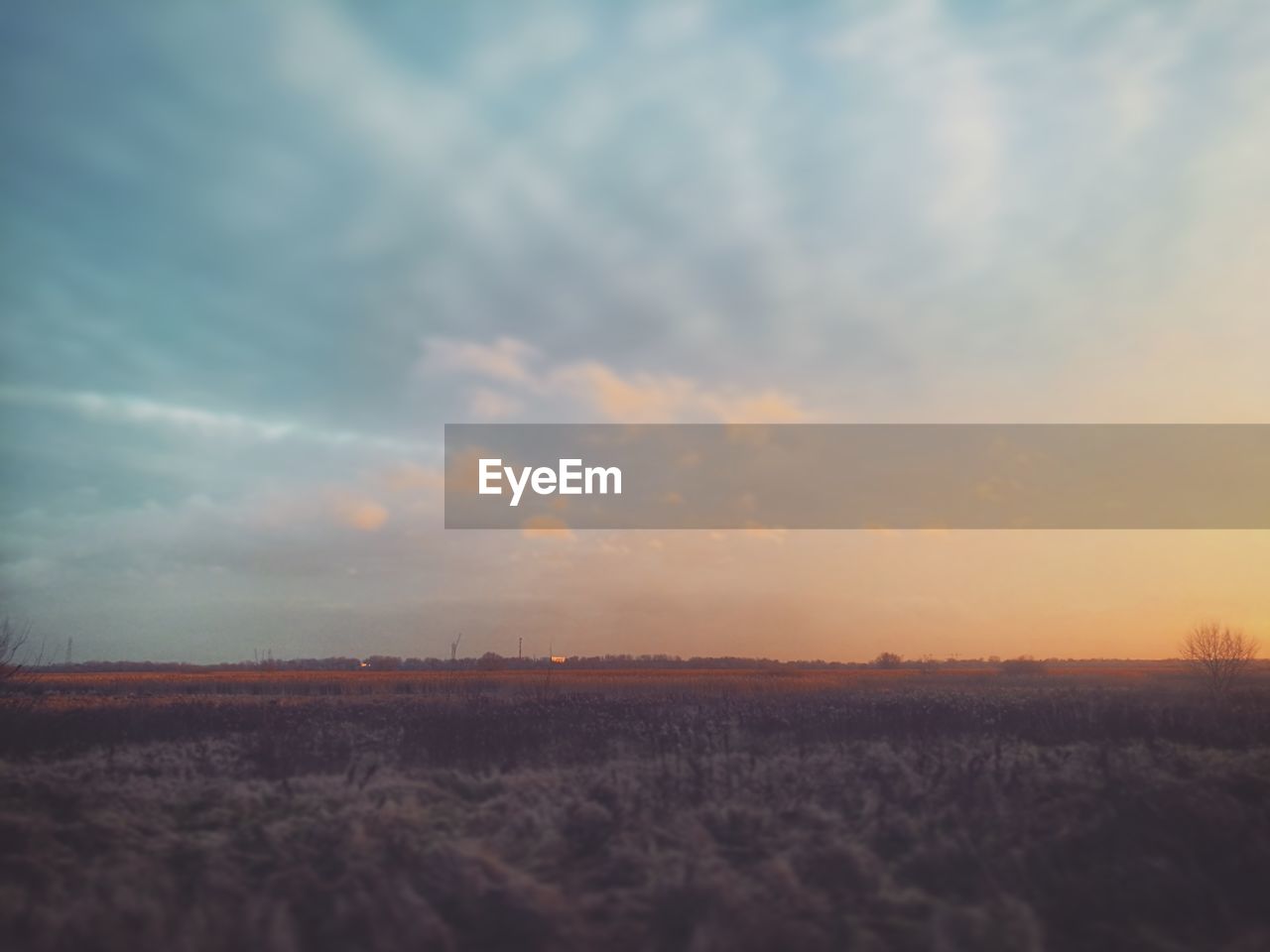 FIELD AGAINST SKY DURING SUNSET