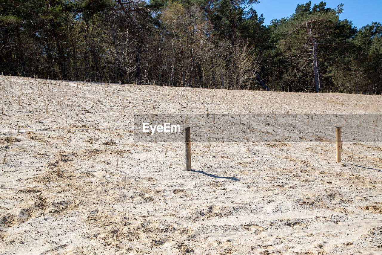 WOODEN POST ON FIELD AGAINST TREES