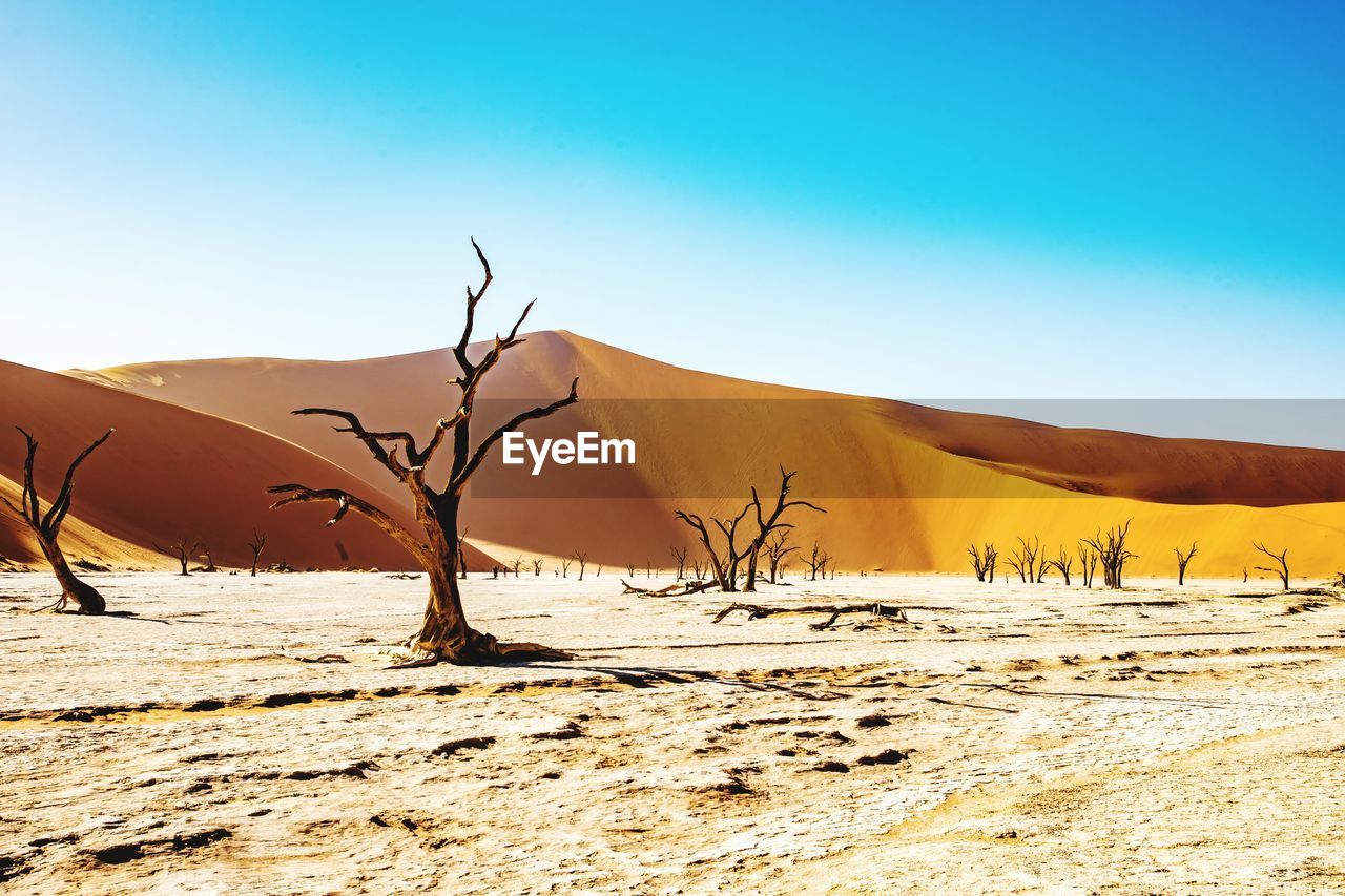 Scenic view of desert against clear sky