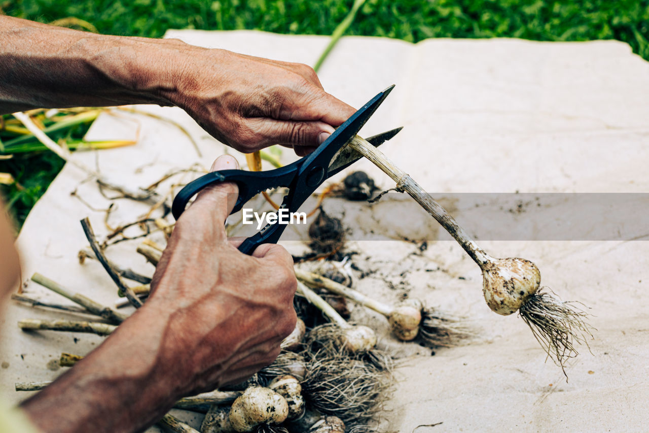 cropped hand of man working on field