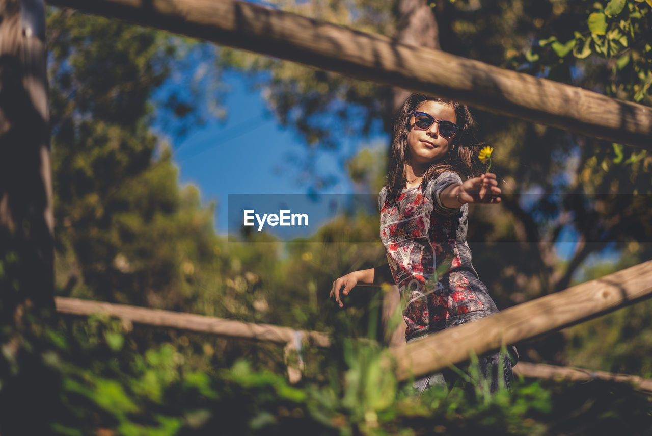 Teenage girl wearing sunglasses standing against trees in forest