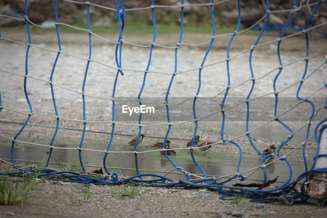 HIGH ANGLE VIEW OF BARBED WIRE ON FIELD