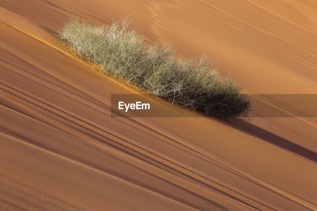 HIGH ANGLE VIEW OF SAND DUNE