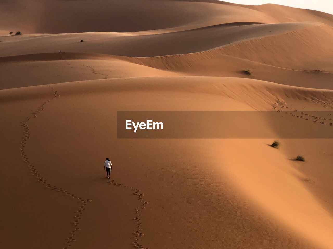 High angle view of person walking on sand dune in desert