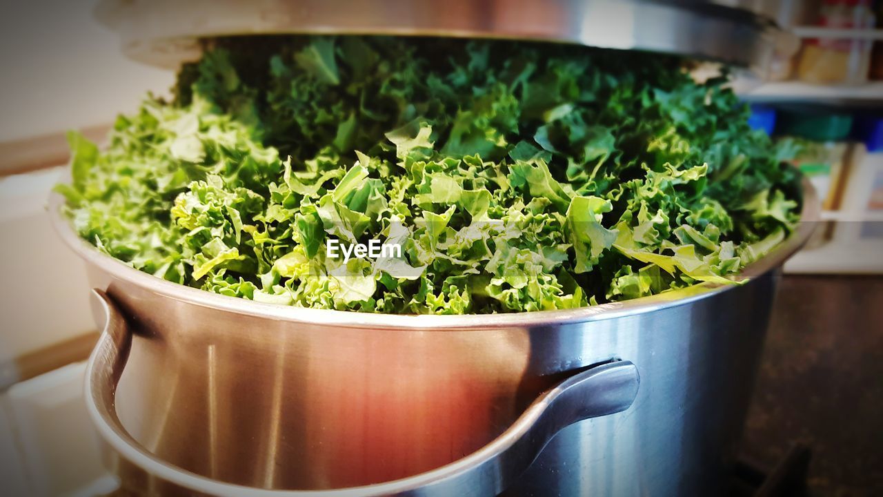 Kale in cooking container