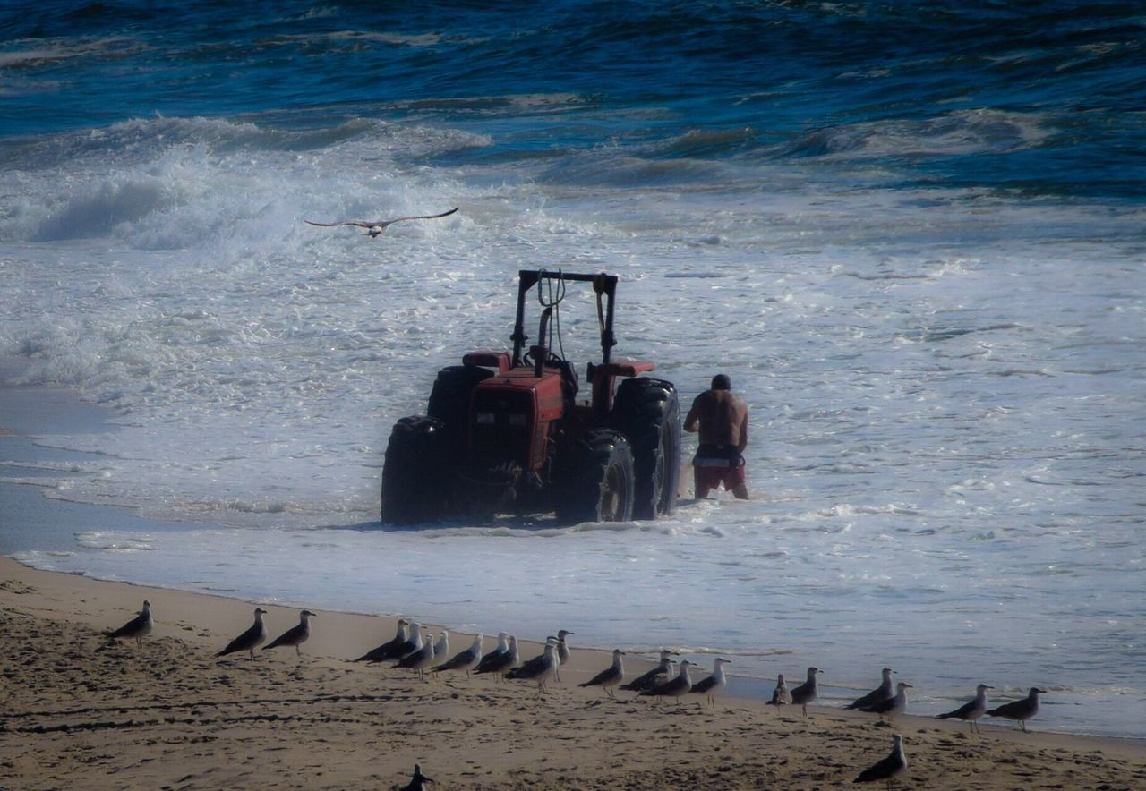 Fisherman using trailer in beach