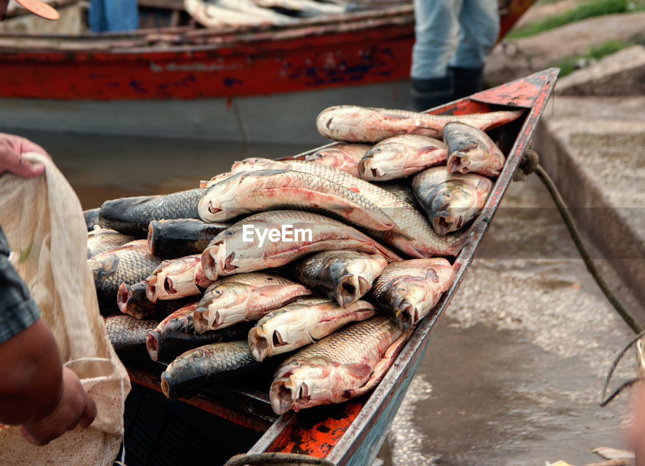 Fresh fish in a market boat