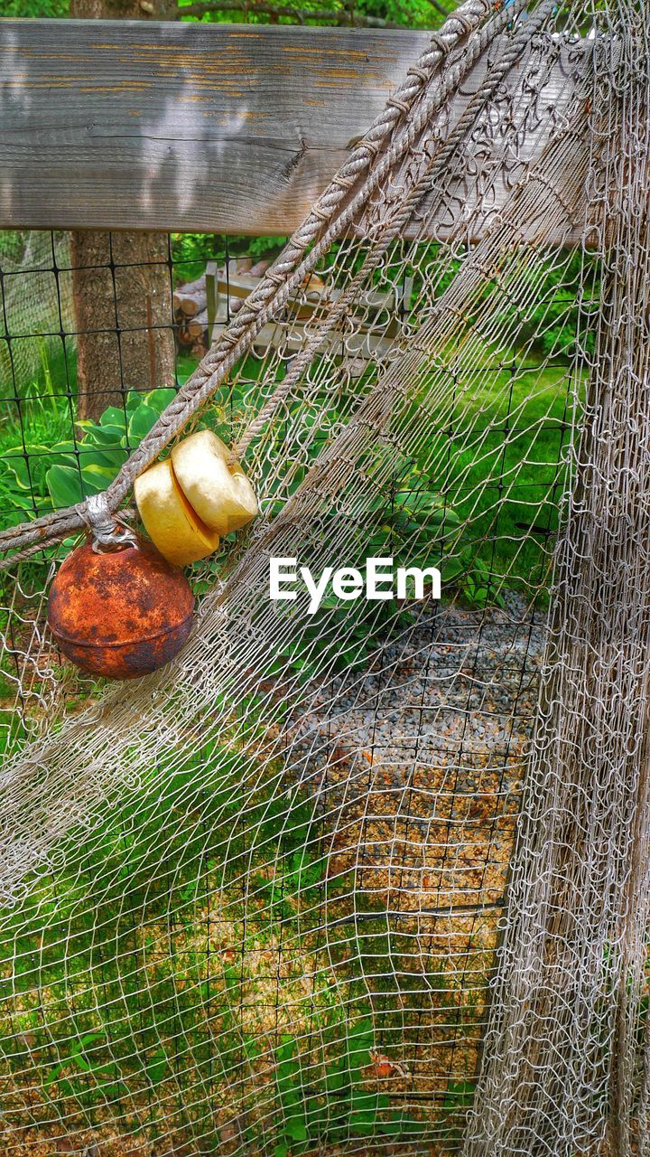 FRUIT ON FENCE
