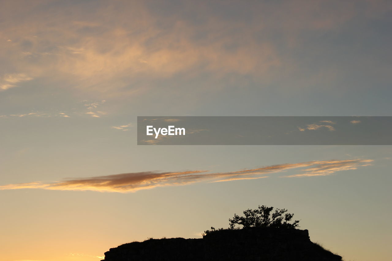 Silhouette of trees at sunset