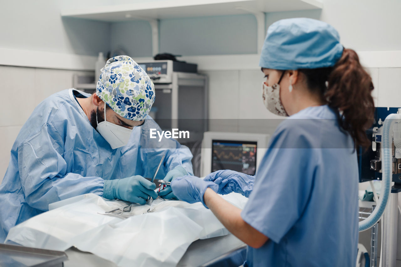 Unrecognizable male vet surgeon operating animal patient with medical tools near female assistant in uniform in hospital