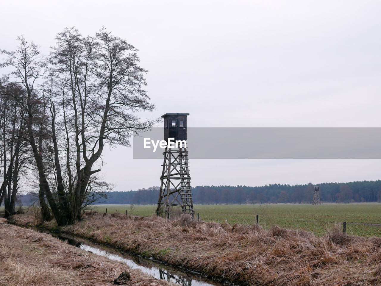 Bare trees on field against sky