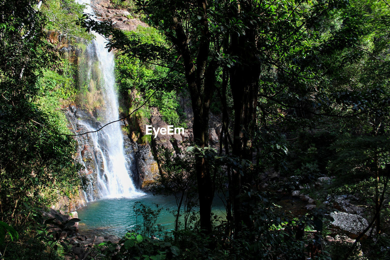 SCENIC VIEW OF WATERFALL