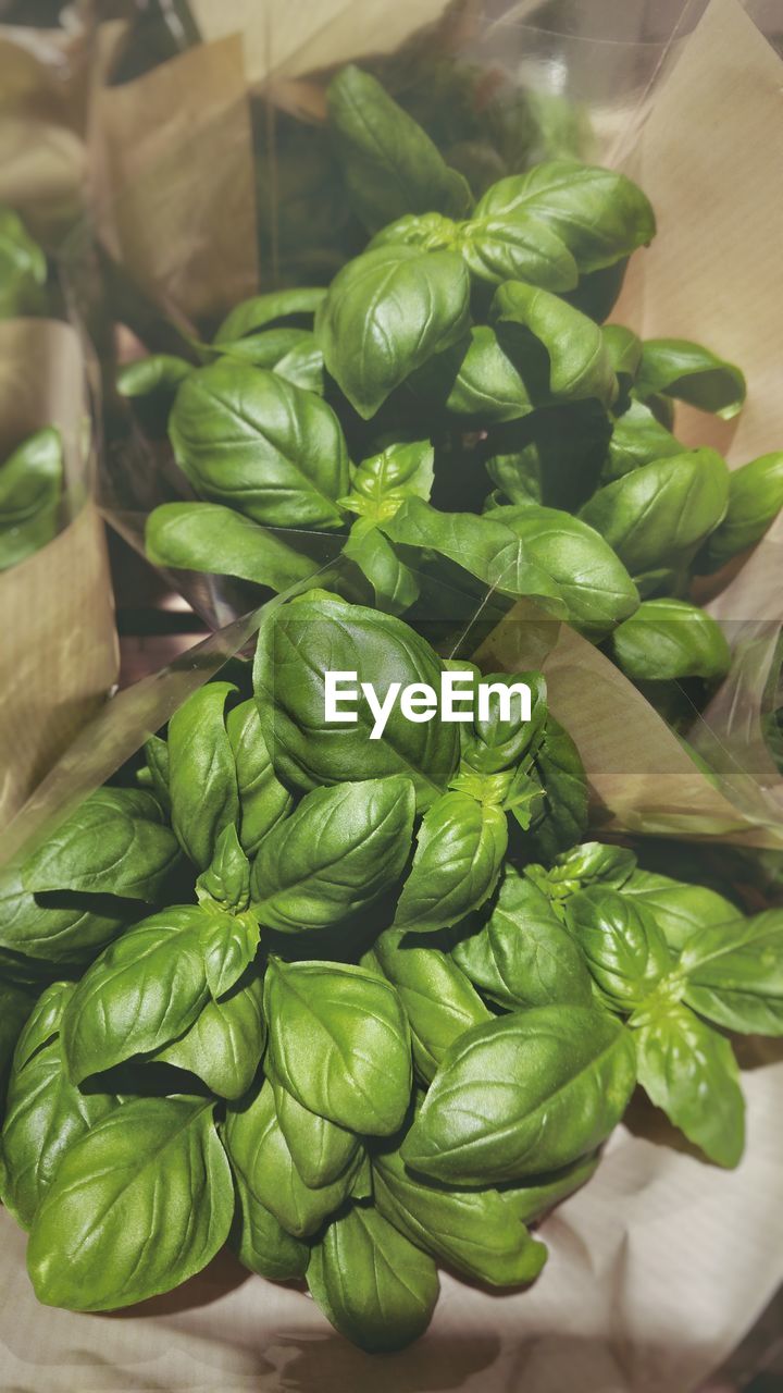 High angle view of vegetables on table