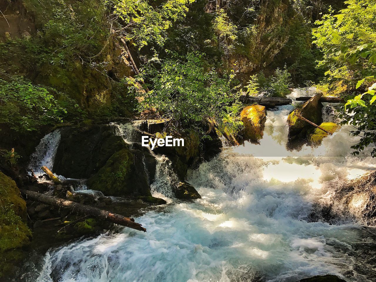 WATERFALL IN FOREST