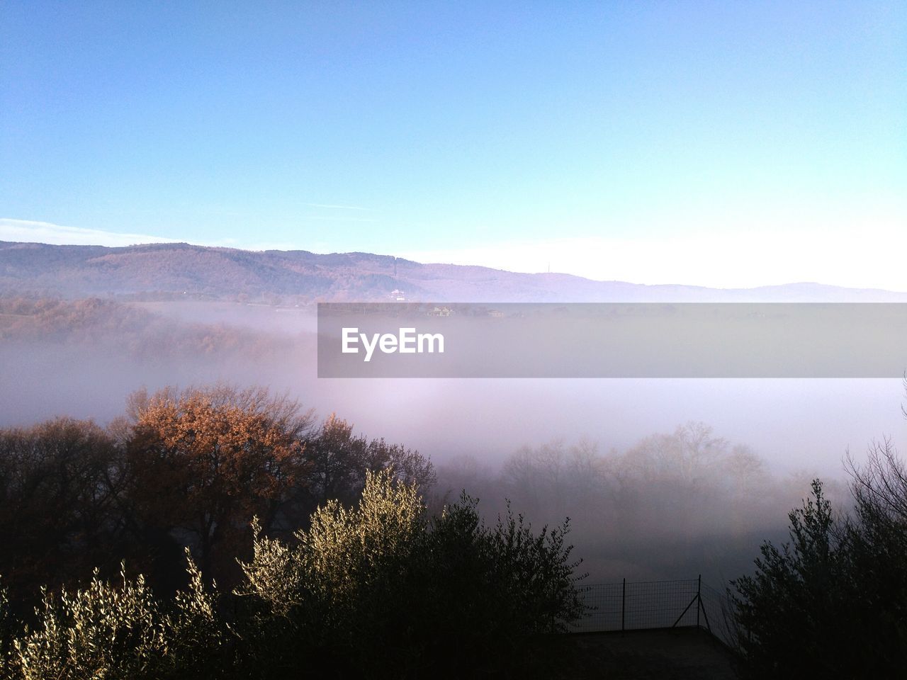 SCENIC VIEW OF TREE MOUNTAIN AGAINST SKY