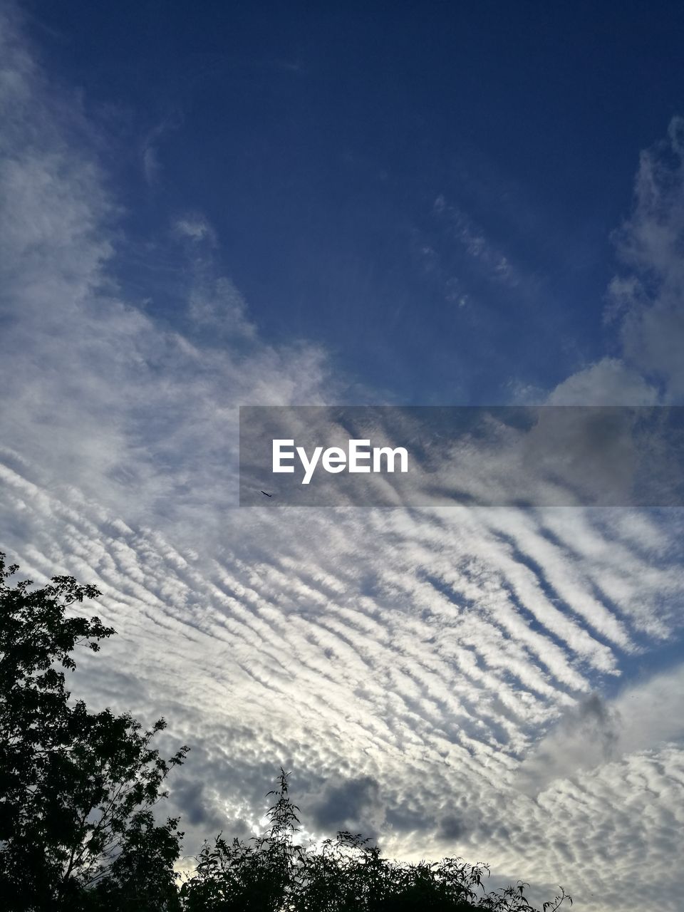 LOW ANGLE VIEW OF CLOUDY SKY