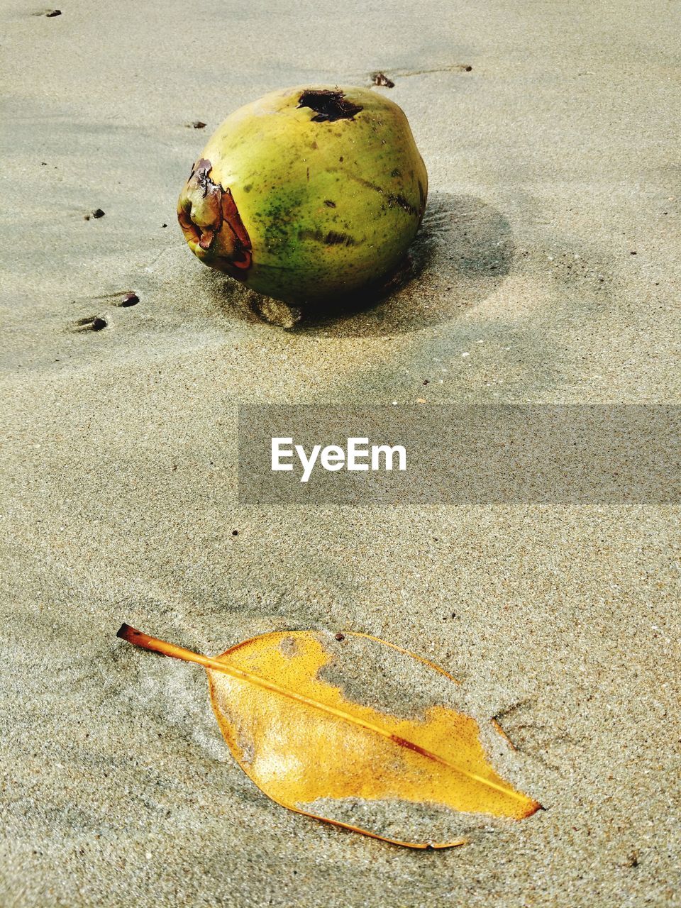 HIGH ANGLE VIEW OF LEAF ON BEACH