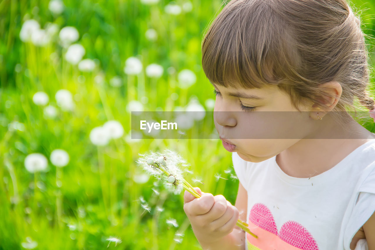 close-up of girl blowing flowers on field