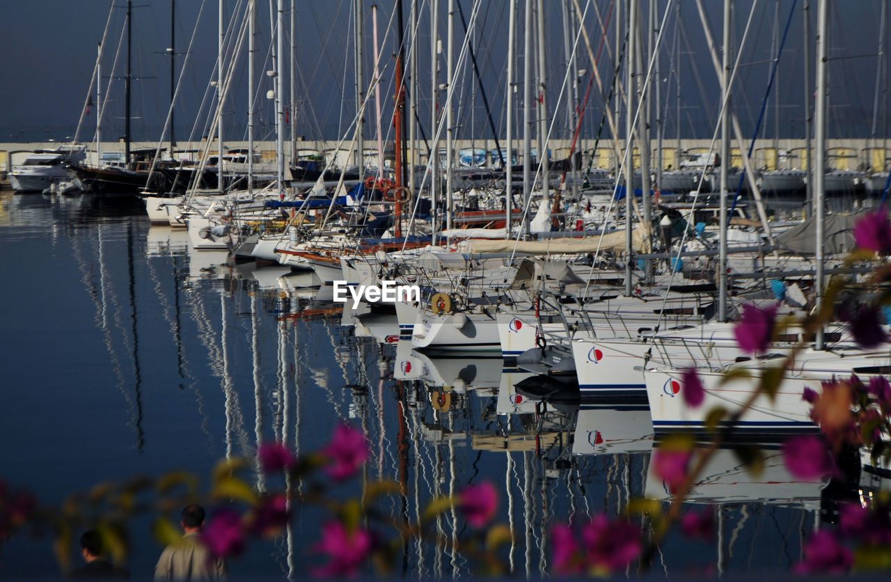 Boats moored at harbor