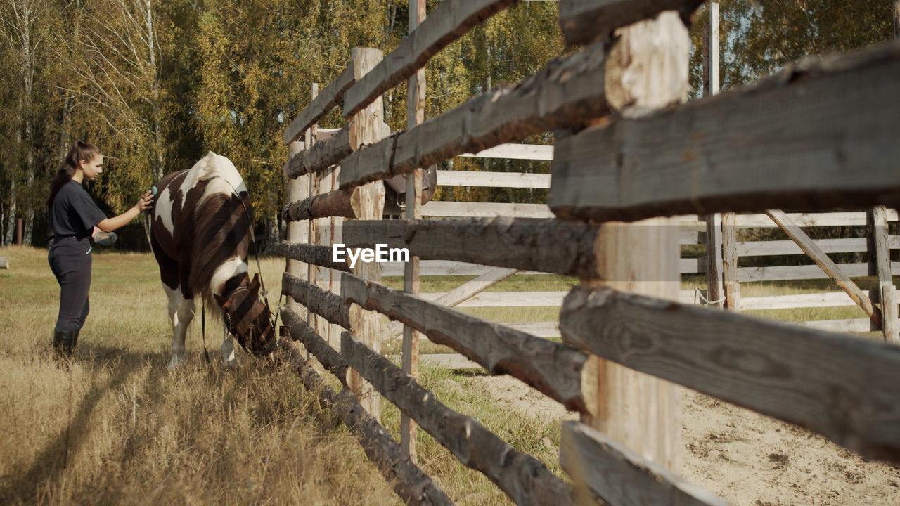 REAR VIEW OF PEOPLE WALKING BY FENCE AGAINST TREES