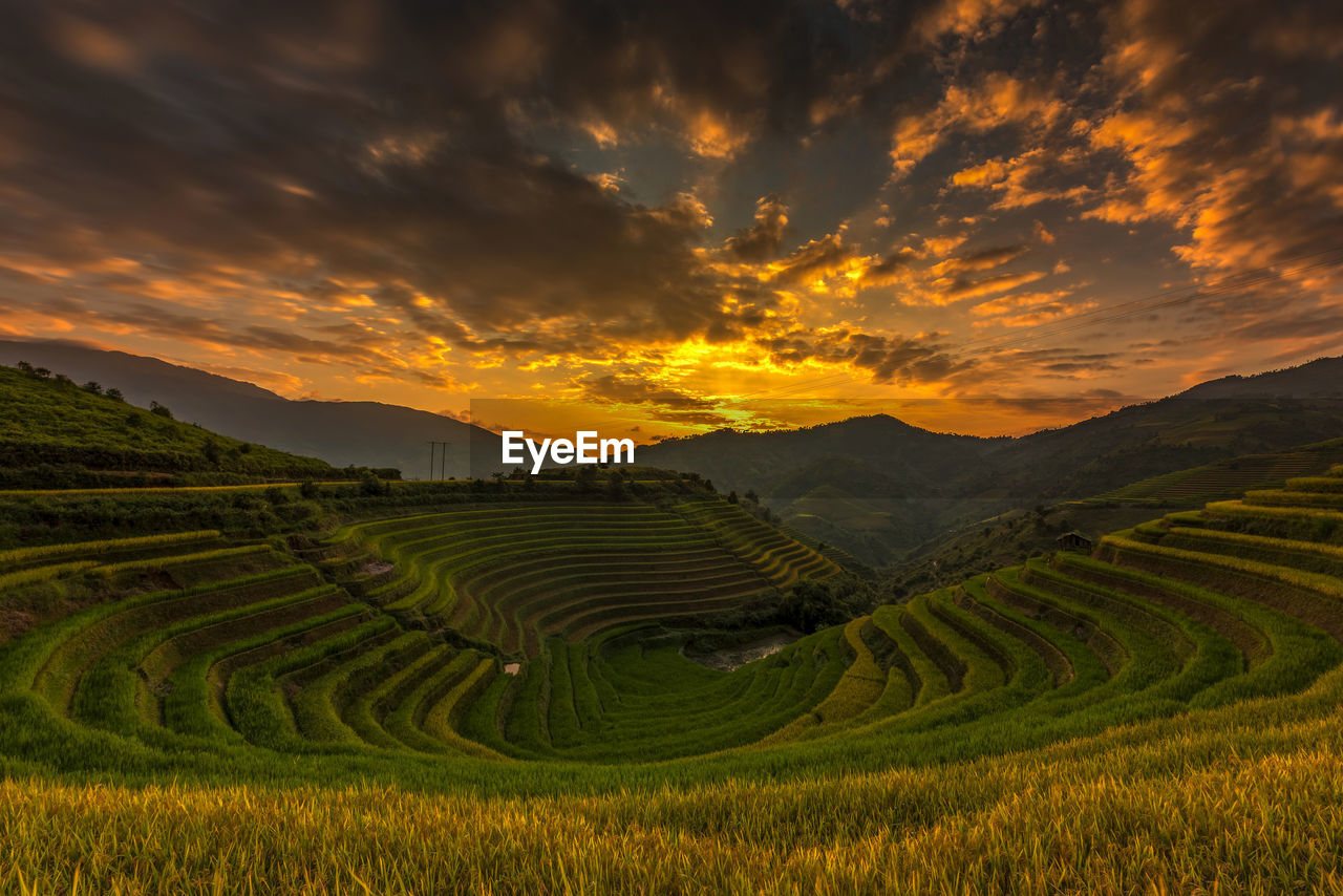 Scenic view of agricultural field against sky during sunset