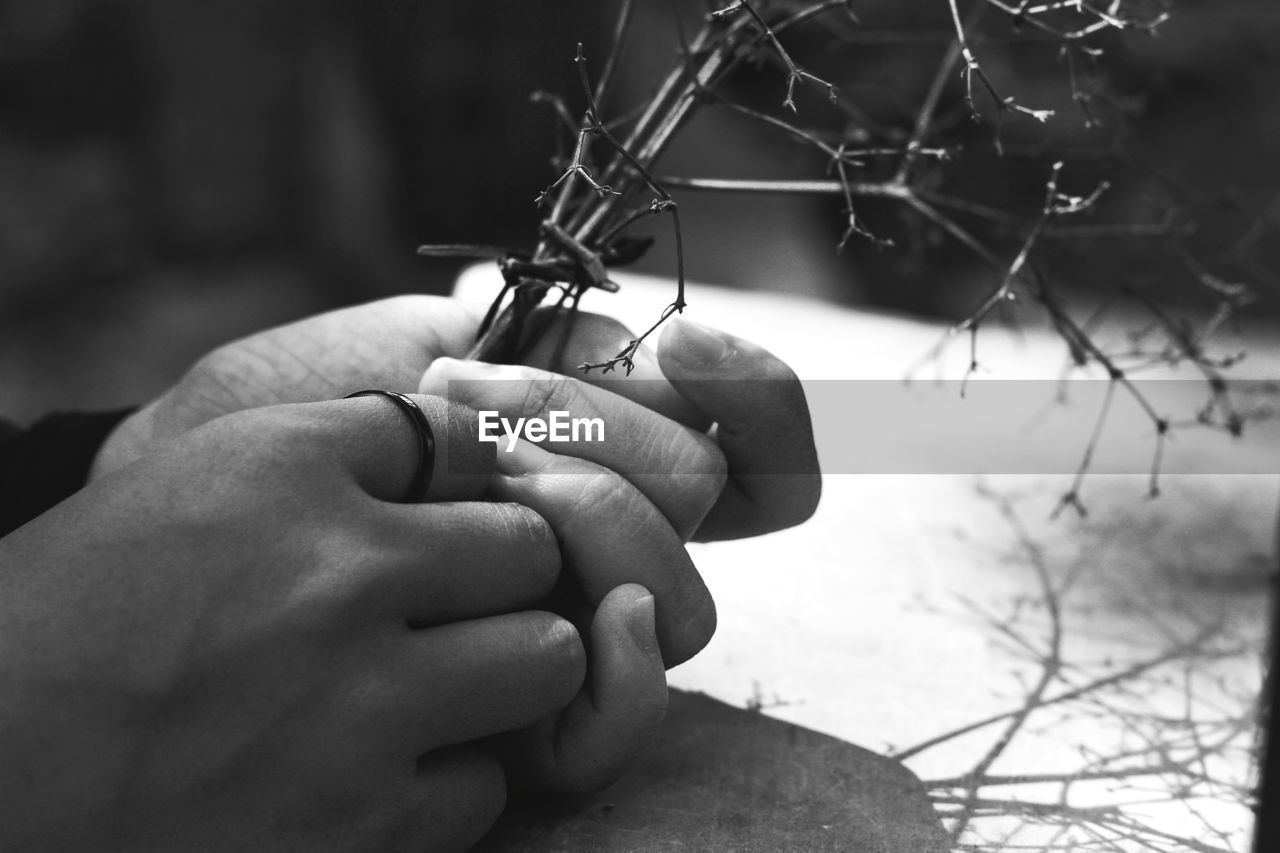 Close-up of person holding hands