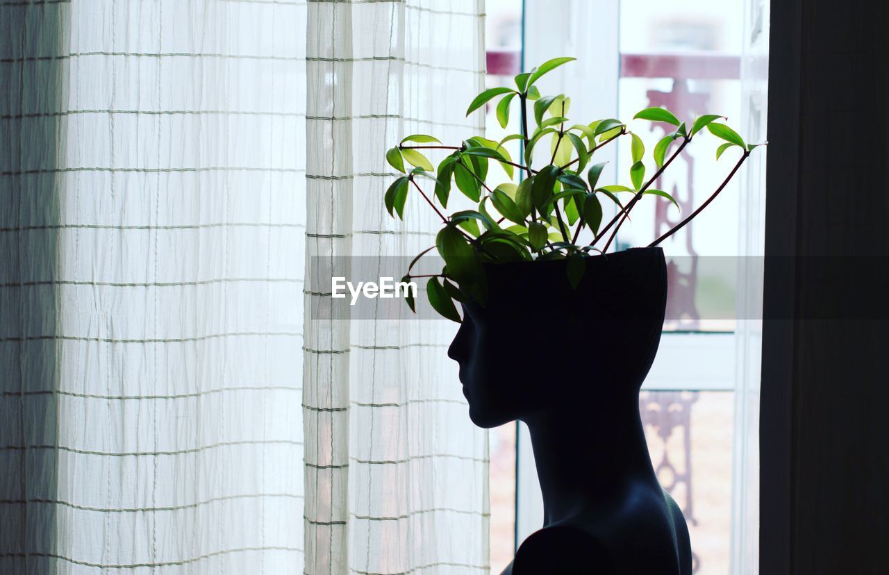 Plants growing in mannequin at home