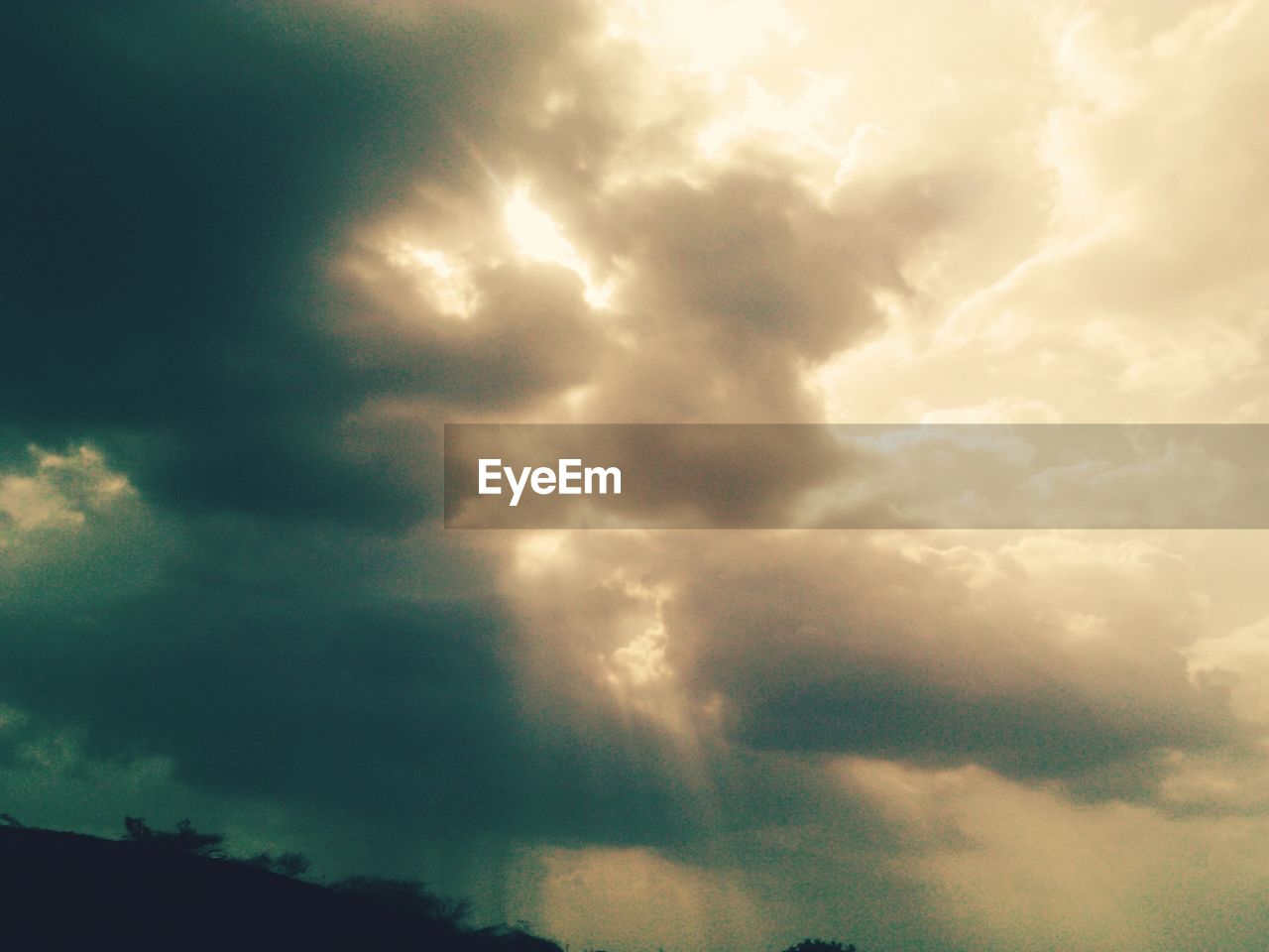 LOW ANGLE VIEW OF DRAMATIC SKY OVER TREES