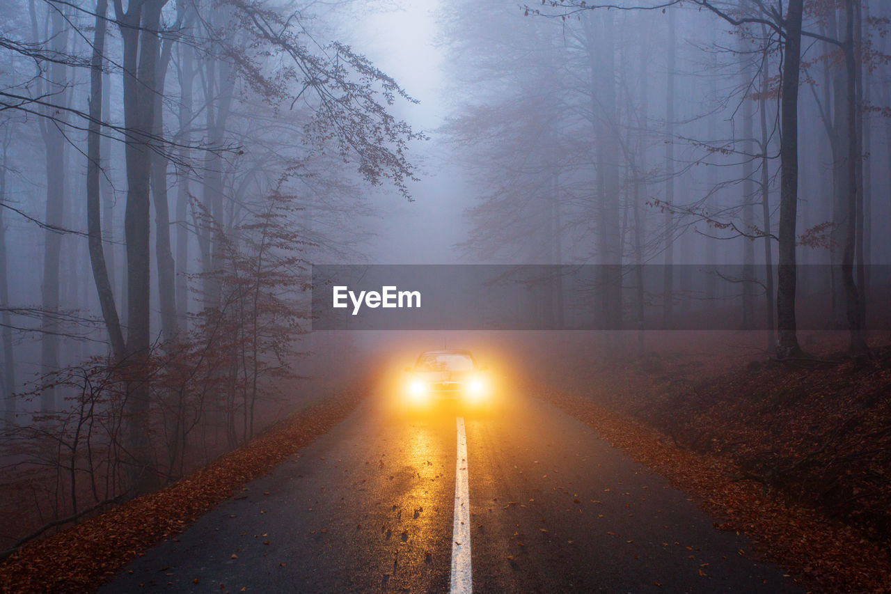 Car on road amidst trees in forest during winter