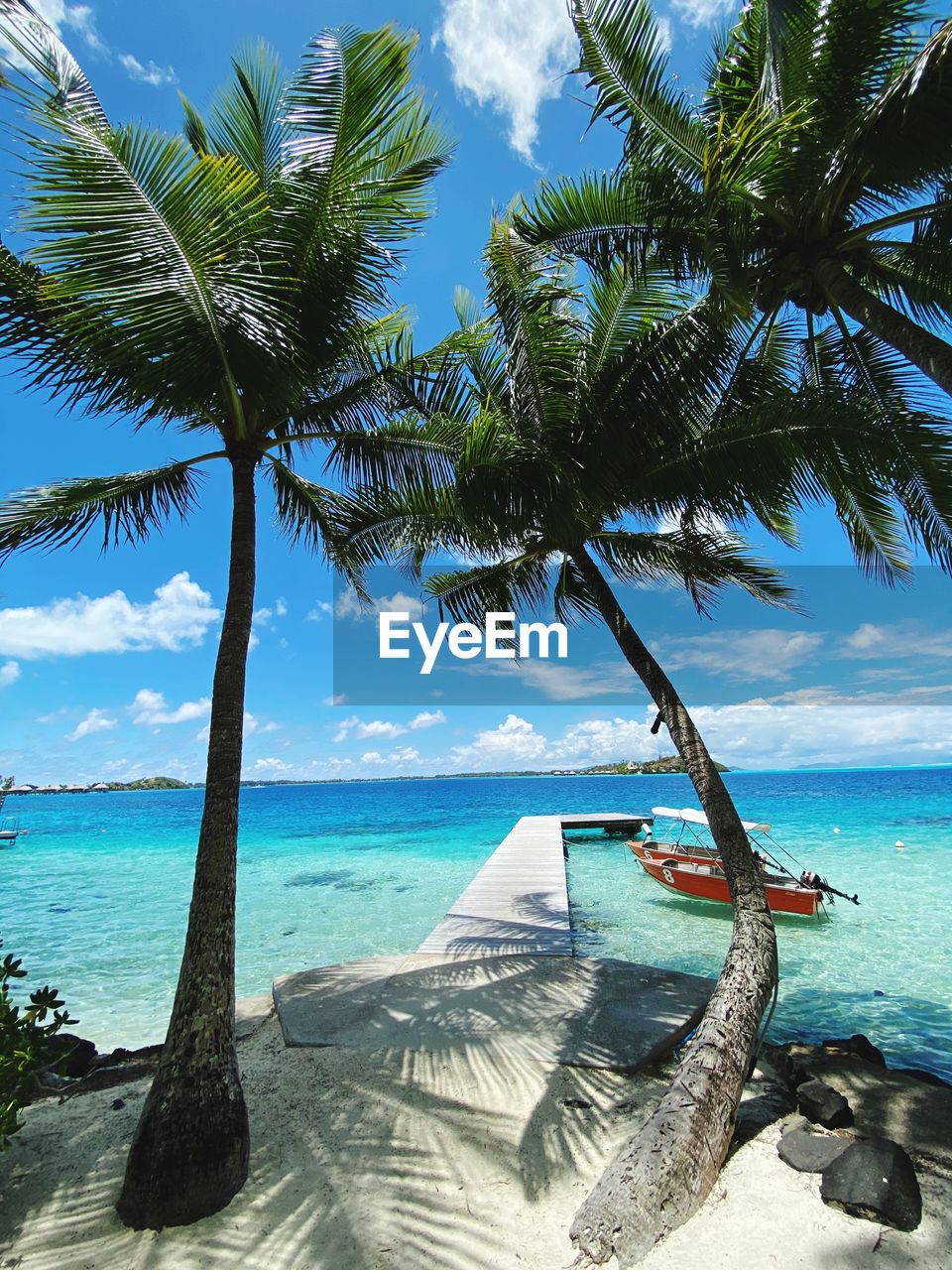 SCENIC VIEW OF PALM TREES ON BEACH AGAINST SKY