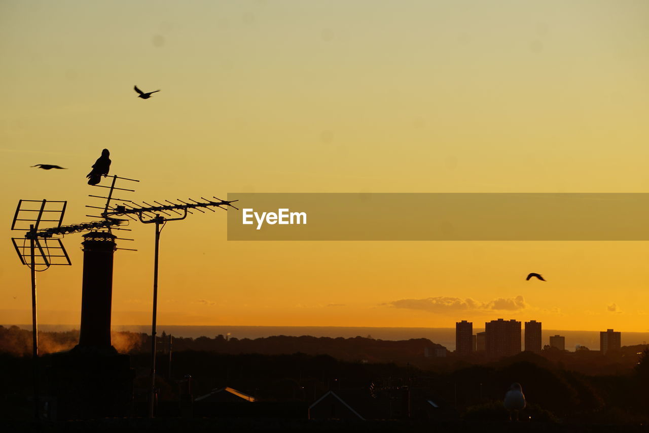 low angle view of silhouette birds flying over cityscape during sunset