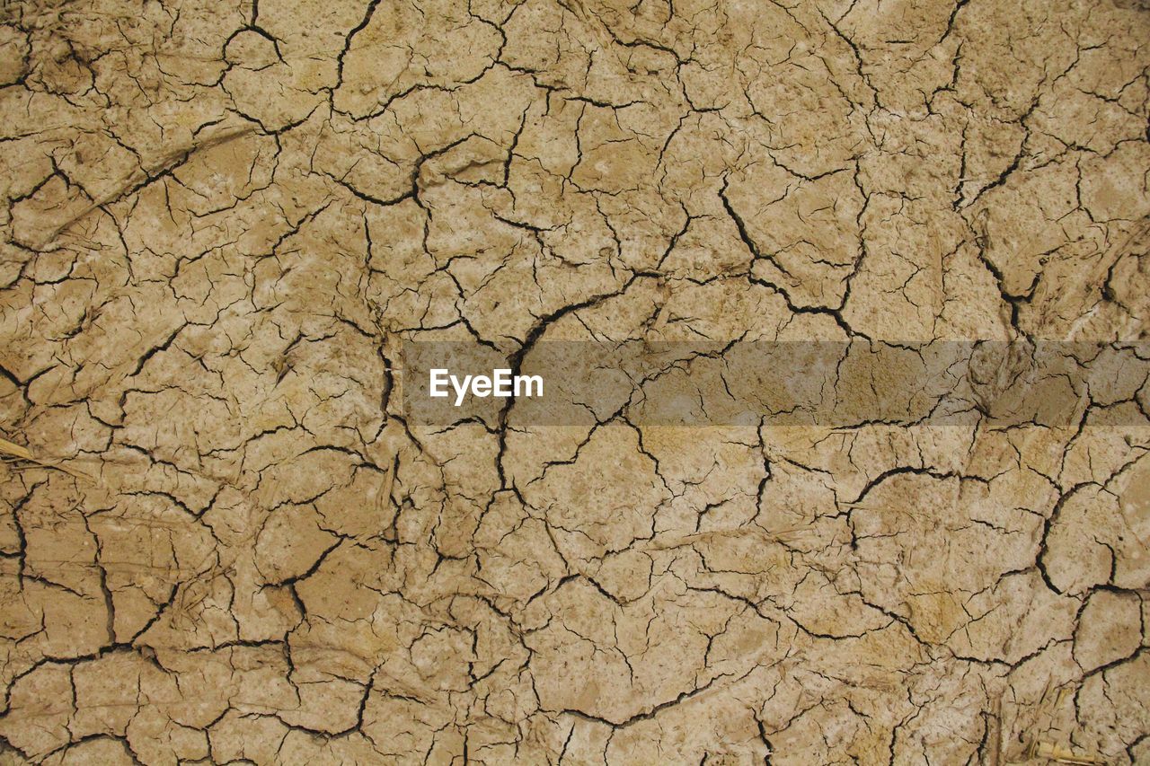 CLOSE-UP OF CRACKED LAND ON GROUND