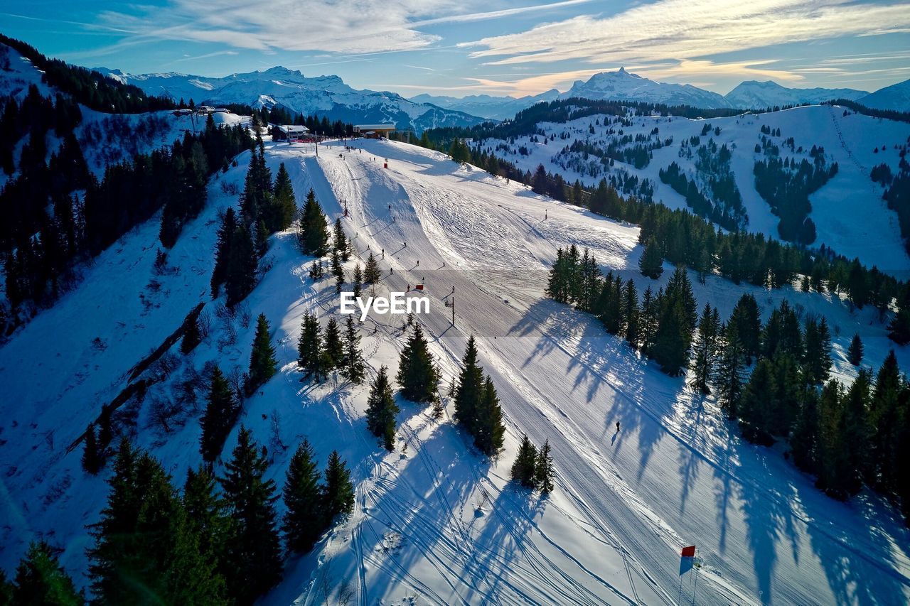 HIGH ANGLE VIEW OF TREES ON SNOWCAPPED MOUNTAINS