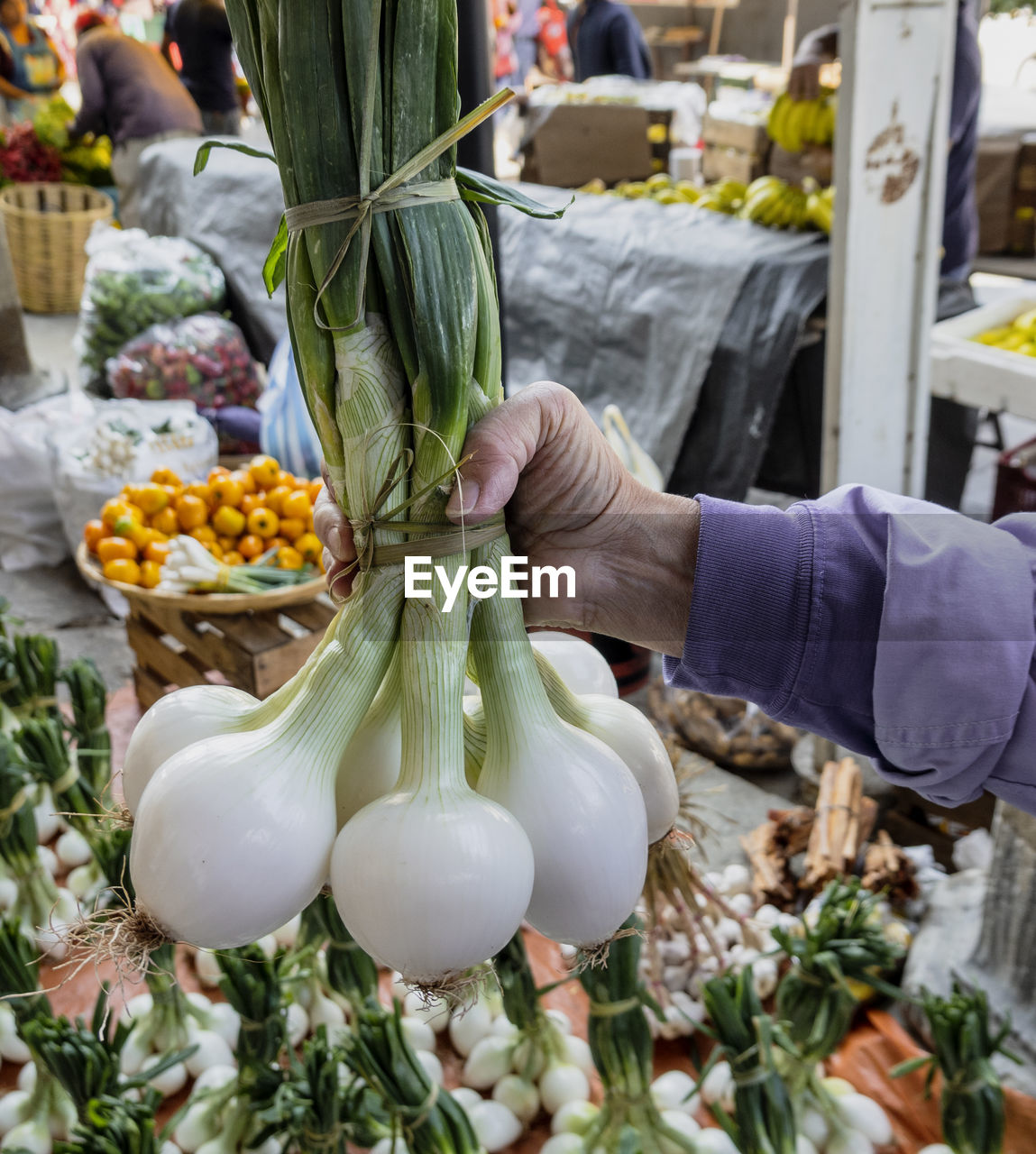 HAND HOLDING VEGETABLES FOR SALE AT MARKET