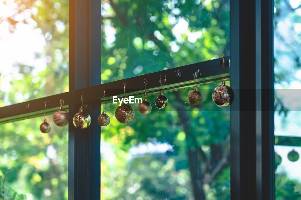 green, window, tree, day, nature, plant, focus on foreground, glass, no people, outdoors, sunlight, light, transparent, hanging, flower, architecture, branch, interior design