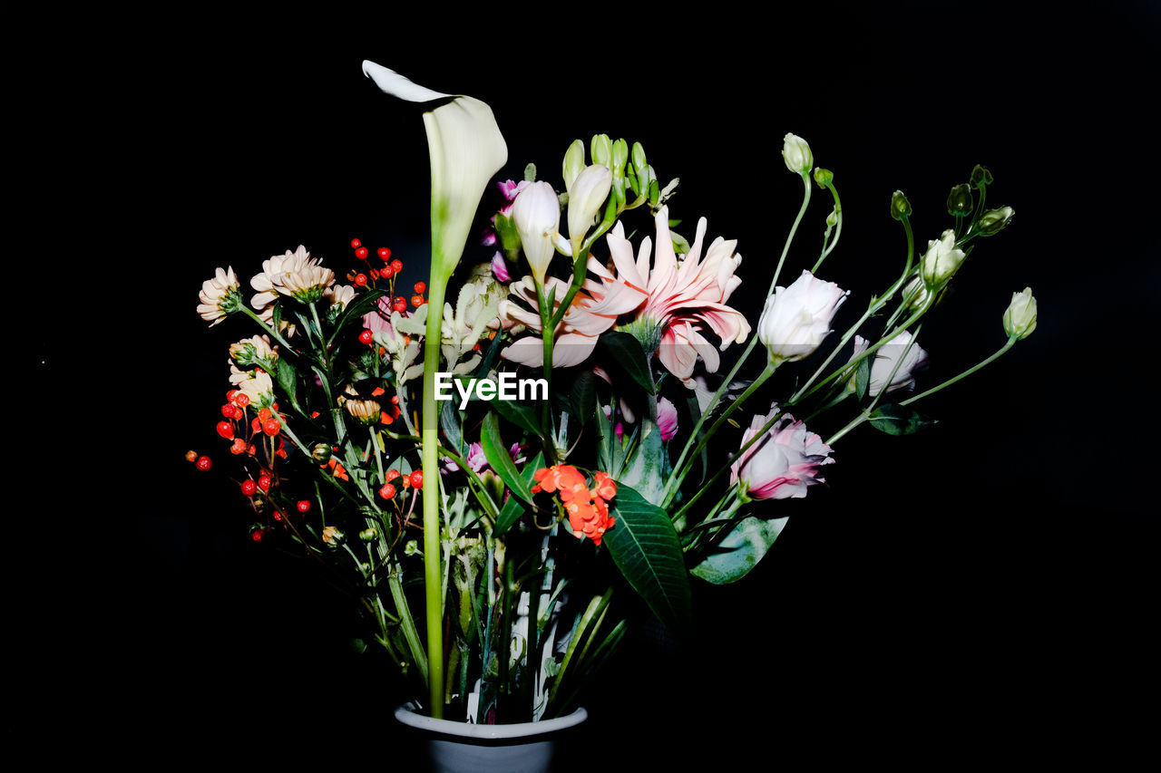 Close-up of flower bouquet against black background