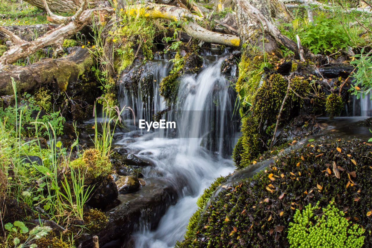 WATERFALL IN FOREST