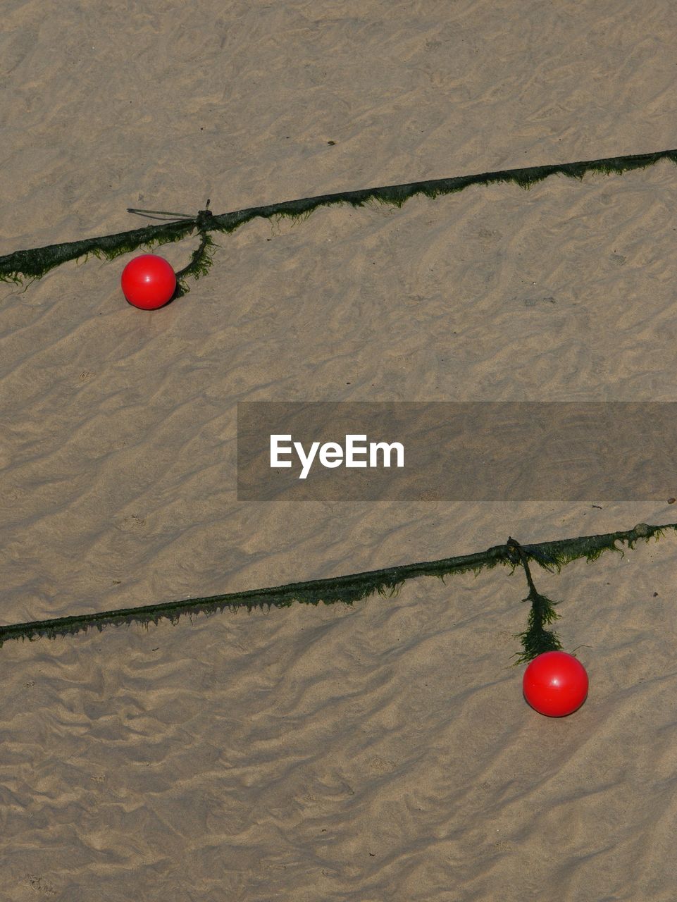 High angle view of buoys and ropes at sandy beach