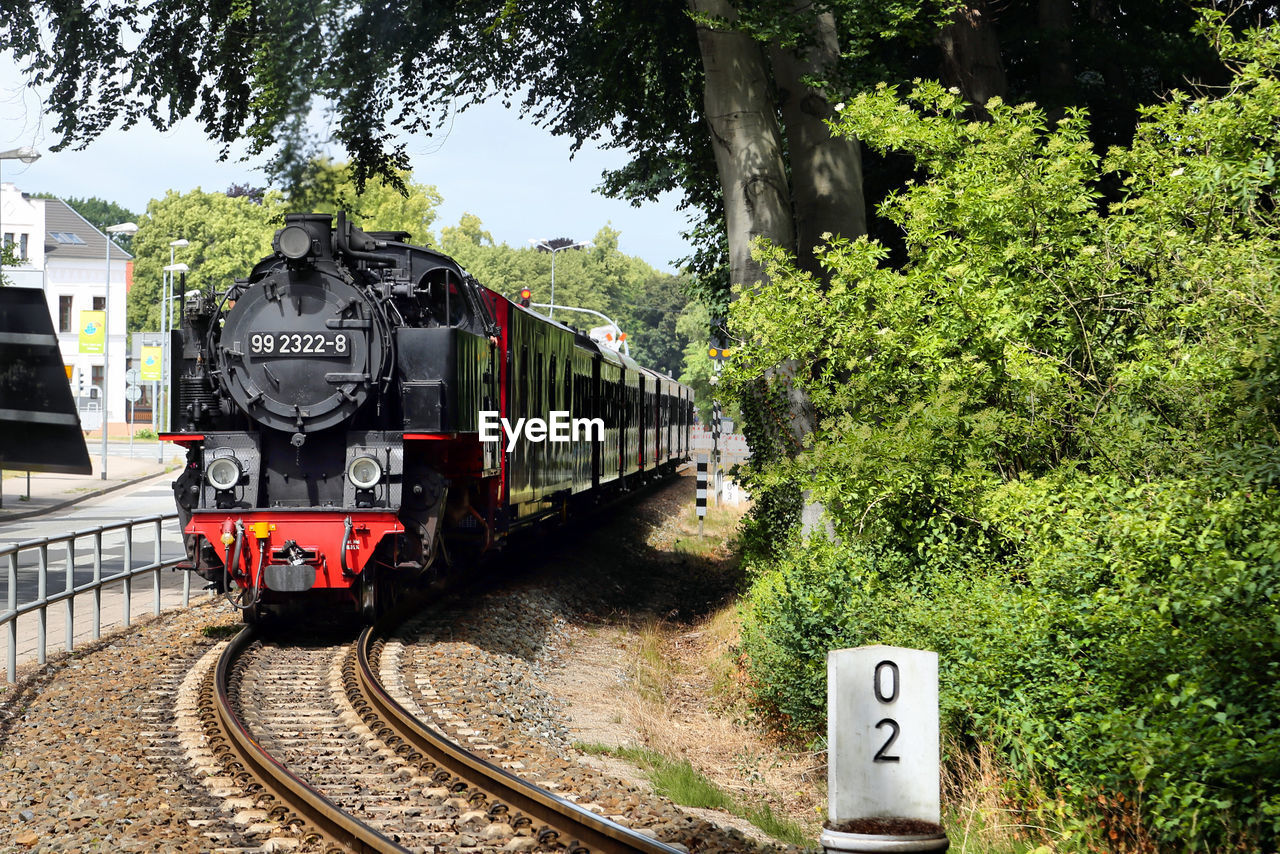 TRAIN ON RAILROAD TRACK BY TREES