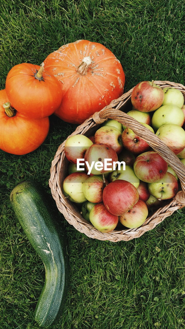 HIGH ANGLE VIEW OF APPLES IN BASKET